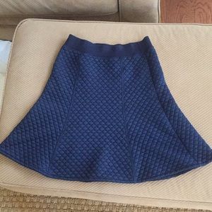 Uni-Qlo Navy Skirt